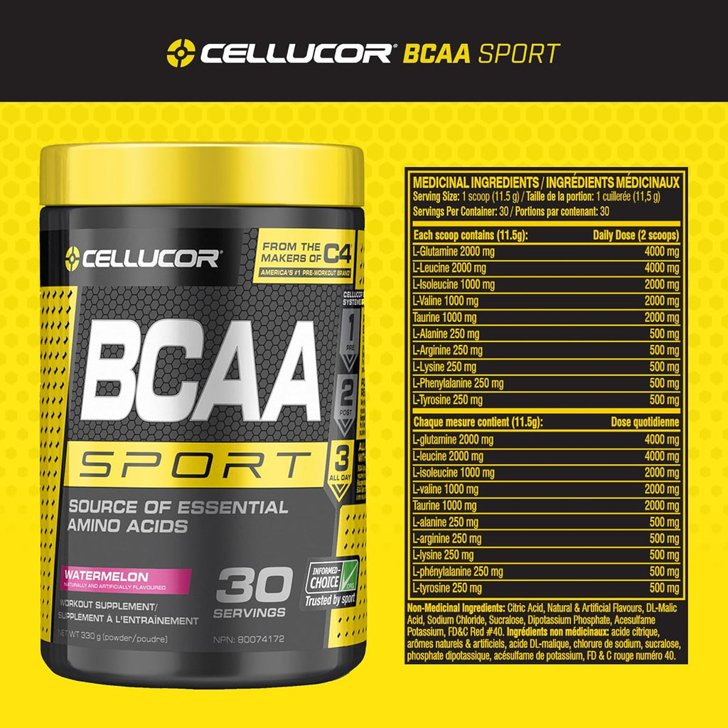 BCAA Sport, Post-Workout Intra Workout Powder Sports Drink Supplements for Hydration Endurance & Recovery, Watermelon, 30 Servings